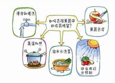 如何減少農(nóng)藥污染去除農(nóng)藥殘留？振華化工總結(jié)以下幾點分享給大家